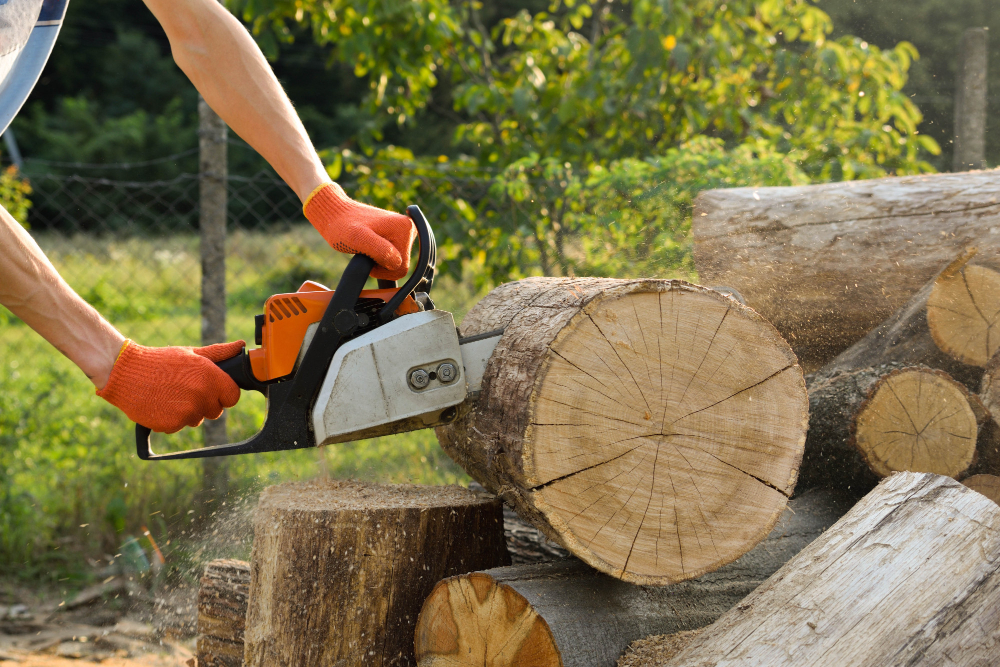 chainsaw