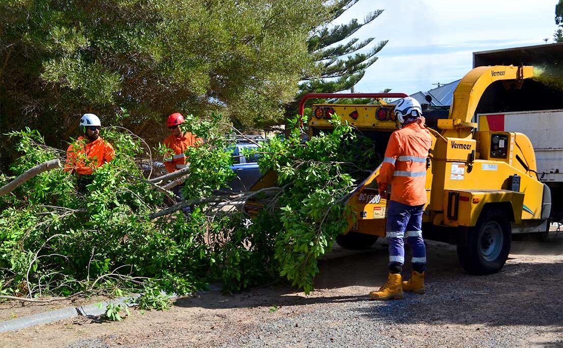 Jordans Tree Services - Fully Insured Tree Lopping & Removal Specialists Rockingham Baldivis Mandurah Pinjarra Cockburn Jarrahdale Dawesville Serpentine Baldivis WA