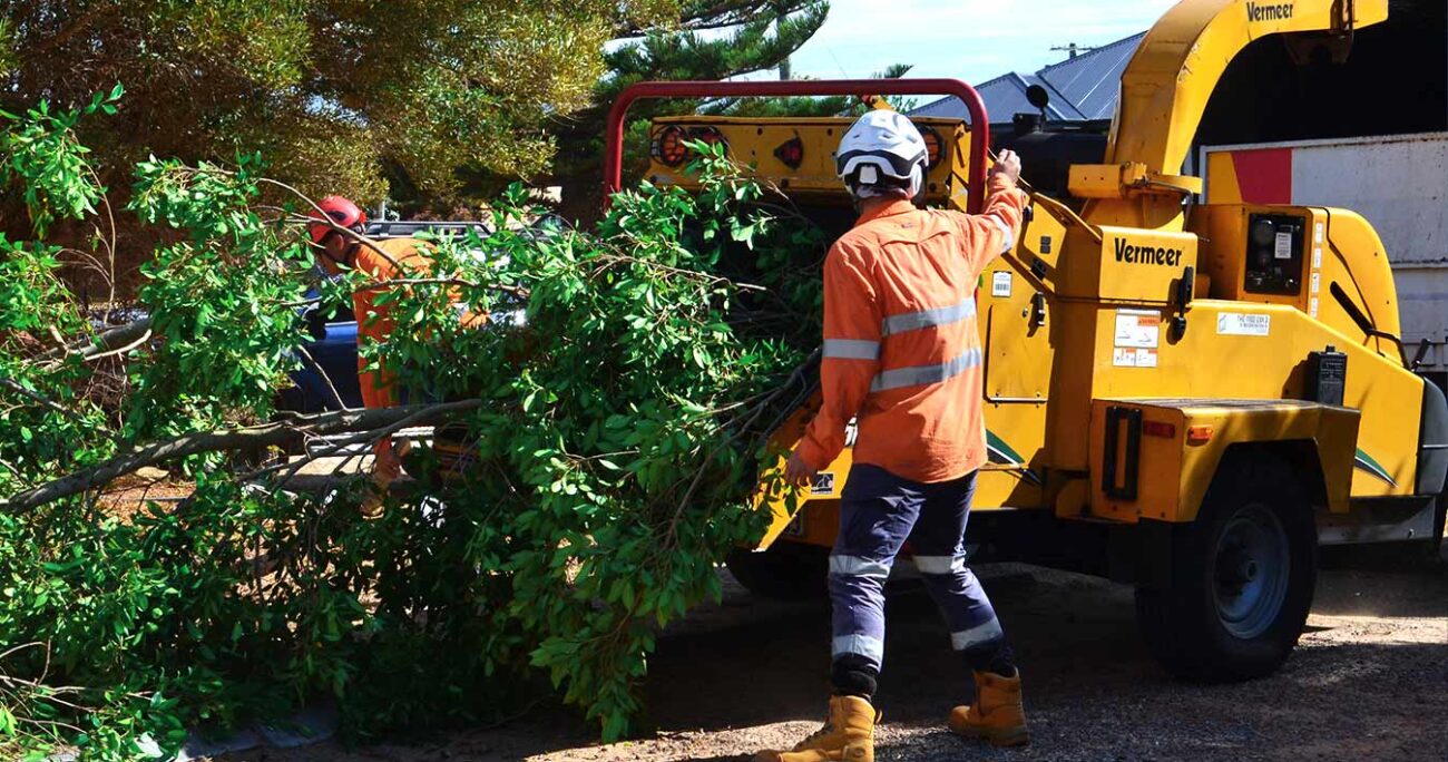 Jordans Tree Services - Tree Trimming & Debris Removal Rockingham Baldivis Mandurah Kwinana Cockburn WA
