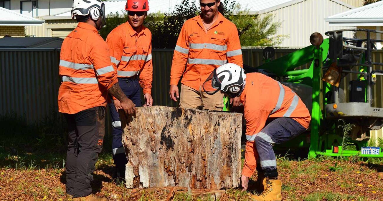 Jordans Tree Services - Experienced Tree Care & Removal Team Rockingham Baldivis Mandurah Kwinana Cockburn WA