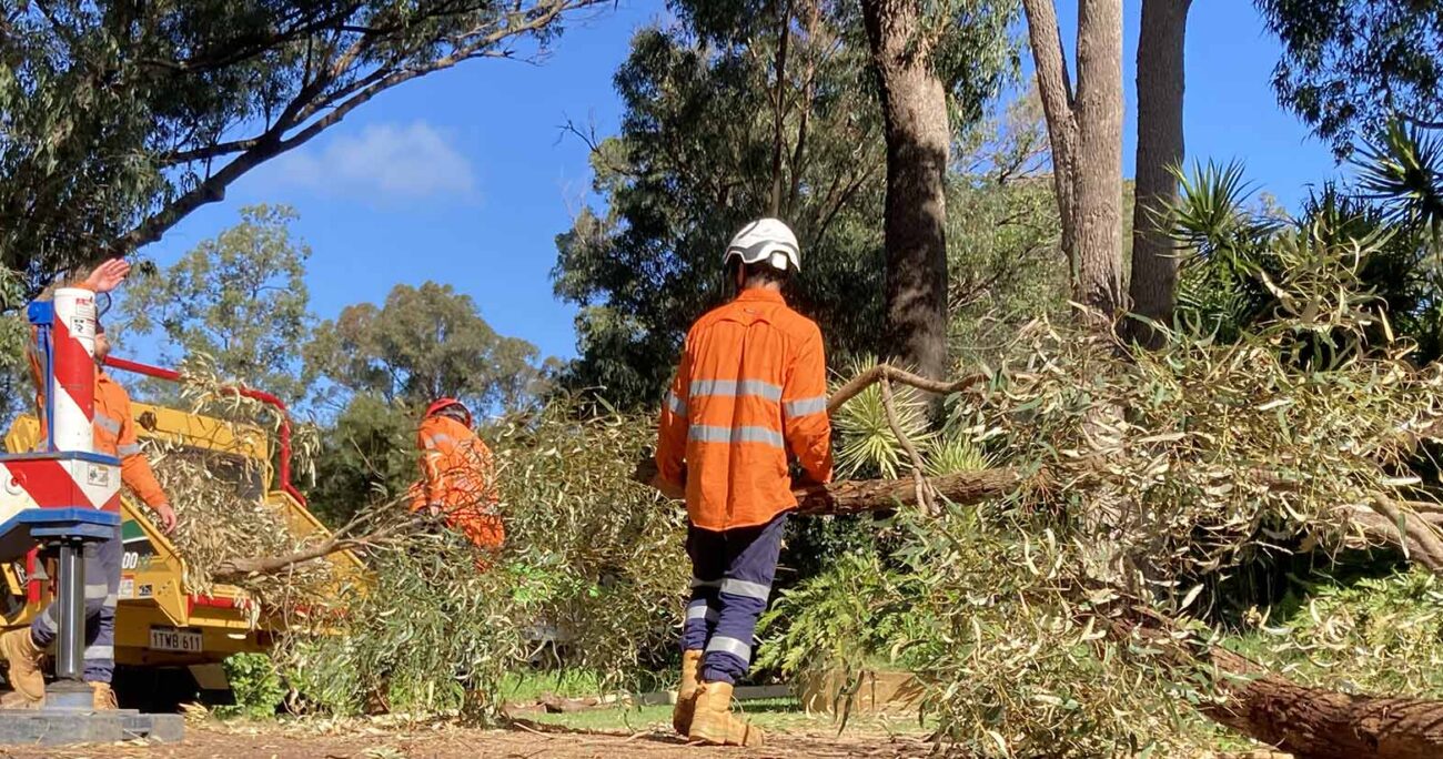 Jordans Tree Services - Efficient and Safe Tree Lopping and Removal Rockingham, Baldivis, Mandurah, Pinjarra, Cockburn, Jarrahdale, Dawesville, Serpentine, Baldivis, Halls Head, Peel Region WA