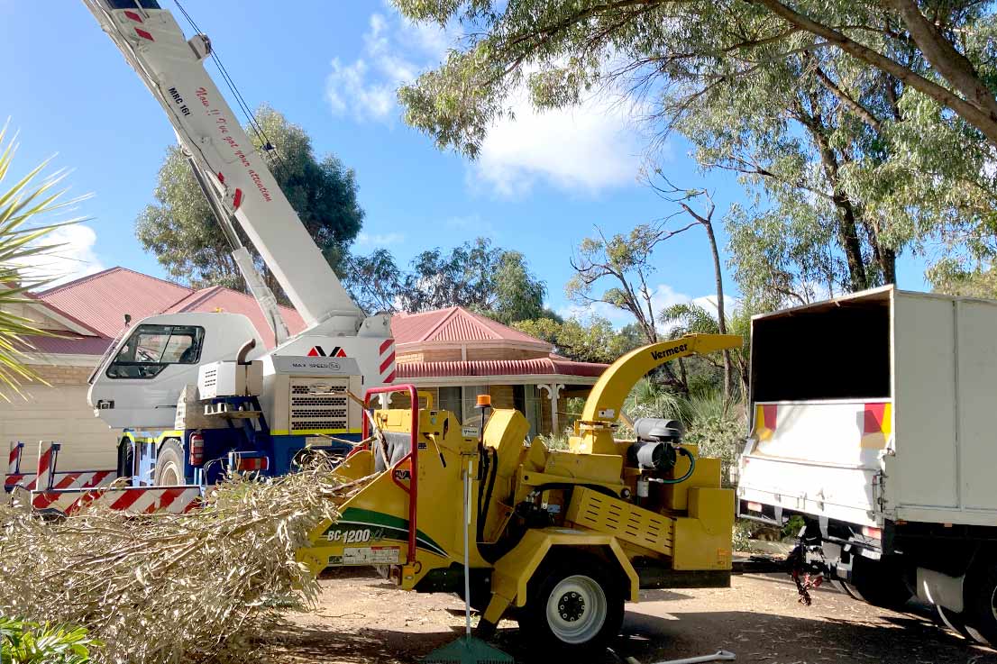 Jordans Tree Services Fully Insured Experienced Tree Care Team Mandurah Pinjarra Peel Region WA