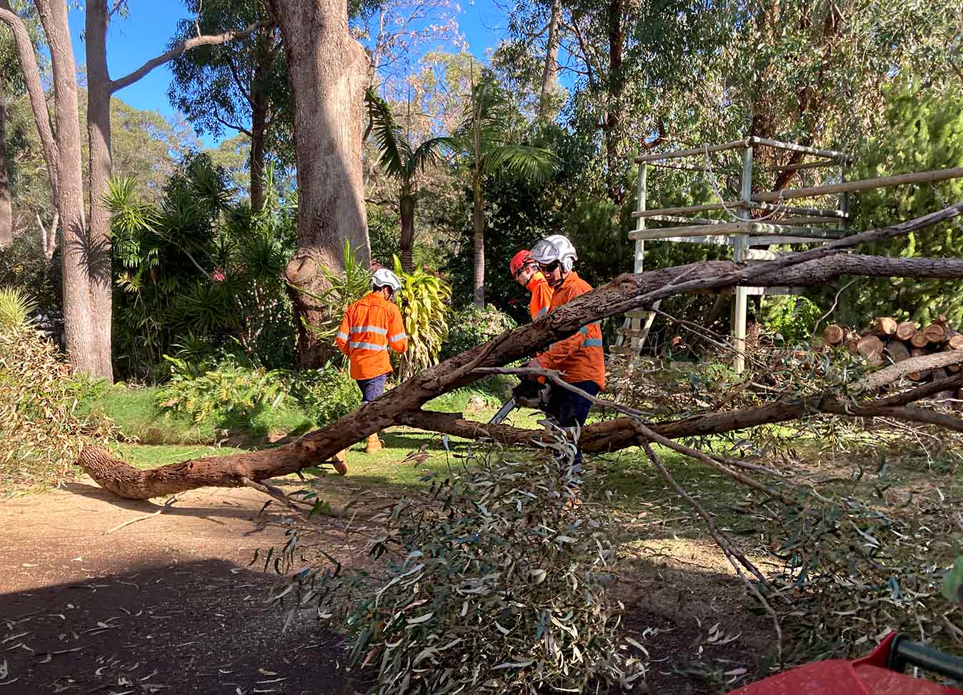 Jordans Tree Services - Local Fallen Trees Removal Rockingham Baldivis Mandurah Kwinana Cockburn Serpentine WA