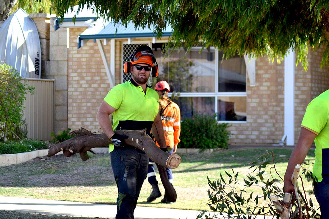 Jordans Tree Services - Tree Trimming, Lopping & Removal Rockingham, Baldivis, Mandurah, Pinjarra, Cockburn, Jarrahdale, Dawesville, Halls Head, Serpentine WA