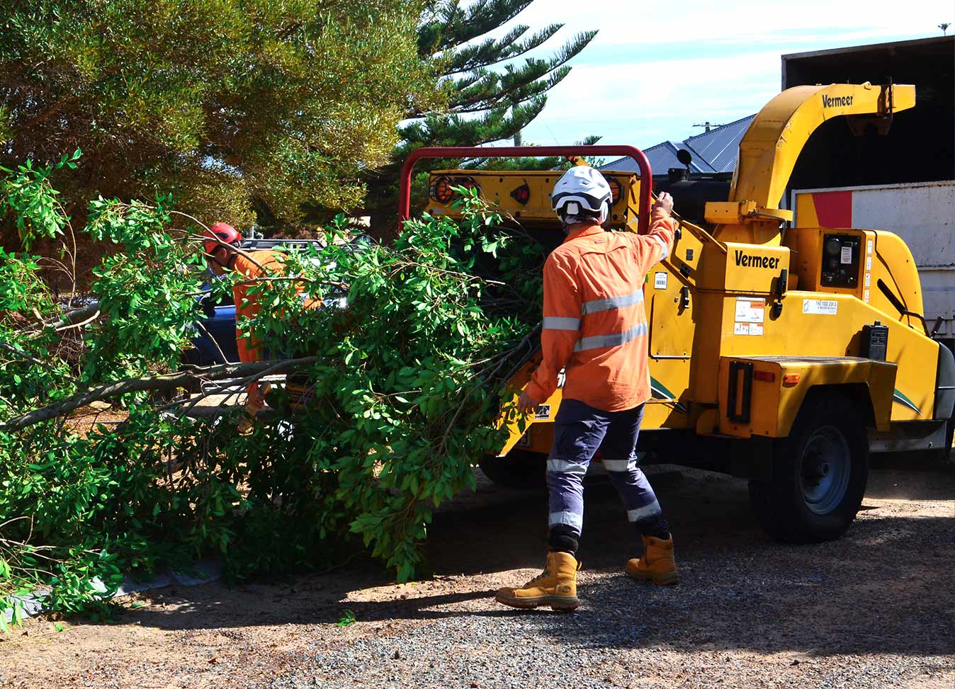 Jordans Tree Services Professional Team Grinding Woodchipper Mulcher Removal Rockingham Baldivis Mandurah Kwinana Cockburn WA
