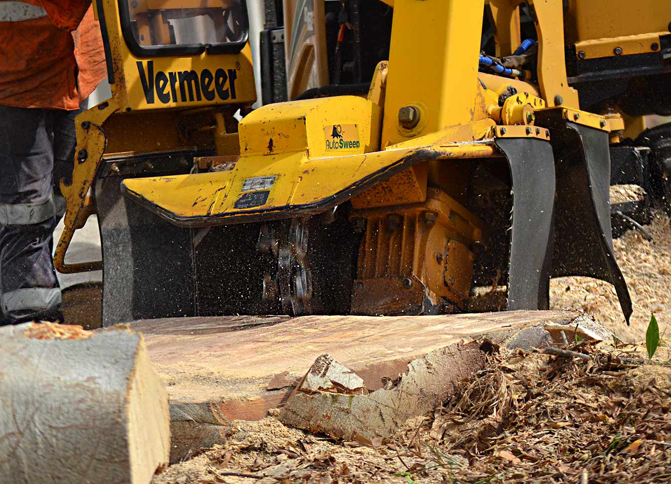 Jordans Tree Services - Stump Cutter Rockingham Mandurah Kwinana Cockburn Baldivis WA