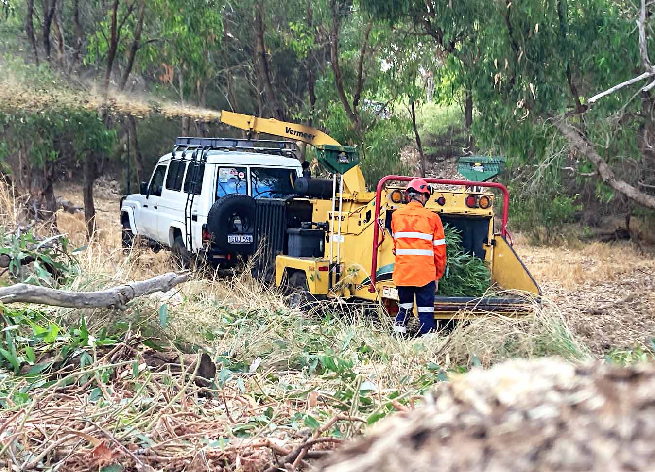 Jordans Tree Services - Tree Lopping & Removal for Land & Block Clearance Rockingham Baldivis Mandurah Kwinana Cockburn Serpentine Jarrahdale WA