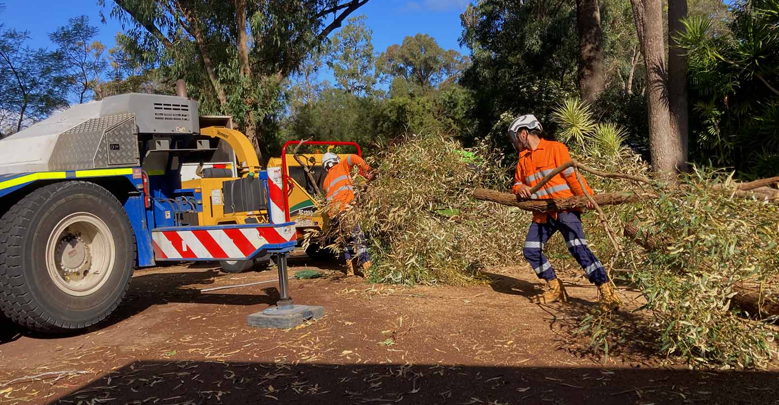 Tree Removal Lopping Services Rockingham Mandurah Kwinana Cockburn Dawesville Serpentine Pinjarra WA